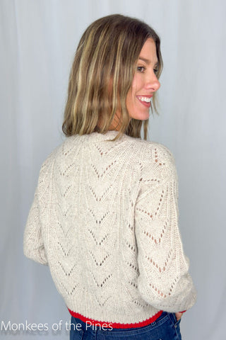Autumn Cashmere Shell Stich Crew