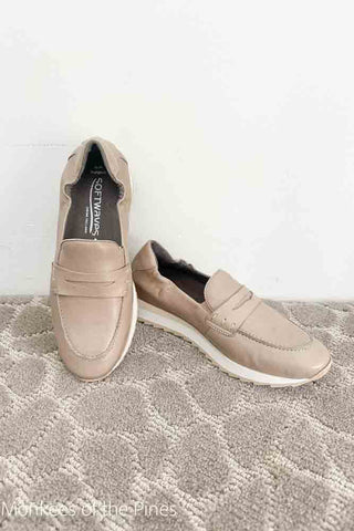 Softwaves Digna Sahara