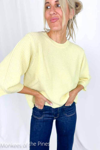 Shaker Crew Sunfrost