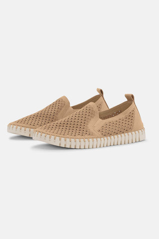Ilse Jacobsen Double Elastic Latte