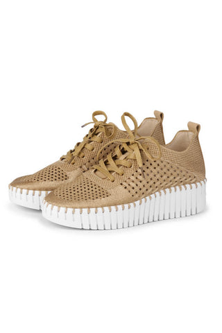 Ilse Jacobsen Latte Sneaker