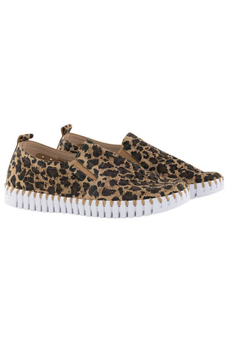 Ilse Jacobsen Leopard Tulip