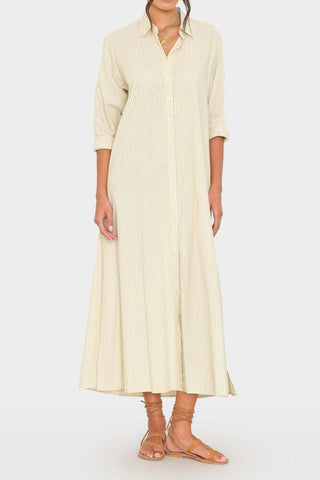 Xirena Boden Dress Citrine