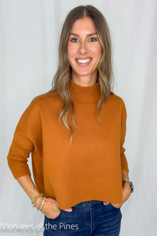 AJA Sweater Camel