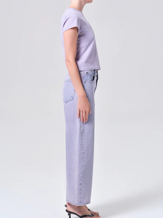 Agolde Low Curve Jean Aura