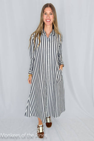 Boden Dress Ink Stripe
