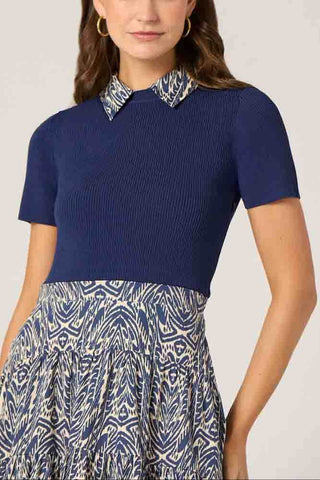 Lena Dress Navy Ivory