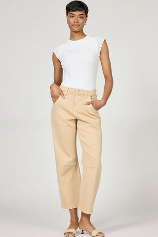 Dear John Lasso Mojave Desert