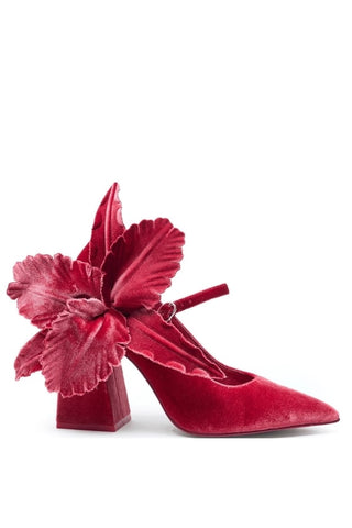 Cecelia NY Mislead Flower Passion